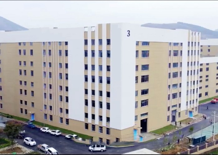 Qingdao Meilianjia International Trade Co., Ltd 工場生産ライン