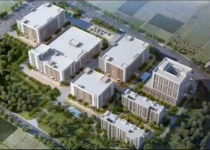 Qingdao Meilianjia International Trade Co., Ltd 工場生産ライン