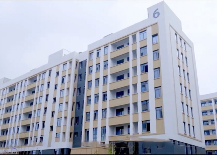 Qingdao Meilianjia International Trade Co., Ltd 工場生産ライン