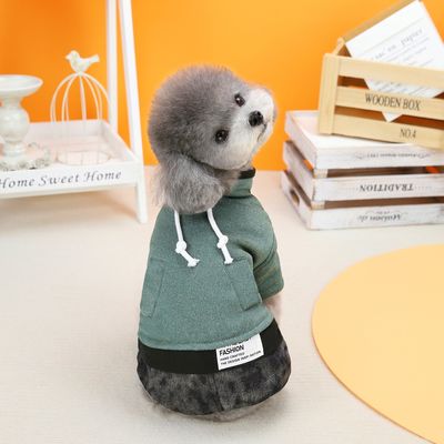 冬の厚い四足の衣装で 寒い季節にペットを備えましょう