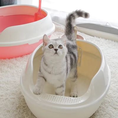 高面 PP プラスチック 猫 トイレ 大きい 防水 オープン トップ 猫 ゴミ箱 室内用