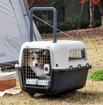 ペット用小型犬と猫のための航空輸送箱 持続可能なハード表面旅行用