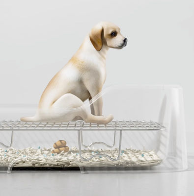 ODMデザイン トップセール 別デザイン プラスチック尿器 室内ペット 犬 トイレ トレーニング 引き出し付きのポテトトレイ