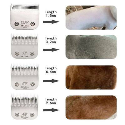 パーソナライズされたロゴLEDディスプレイを含むクリーン機能の重用犬用ヘアカットパー