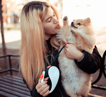 堅固なナイロンテープ 16 フィート 固いパターンと防滑ハンドルで引き下げられる犬のリード