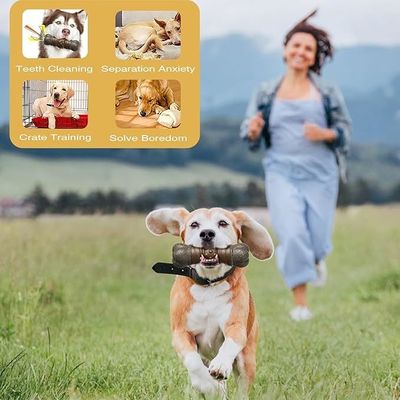 持続可能 流行 スタイル 犬 鳴き声 玩具 棒 歯の骨 歯磨き 噛み 玩具