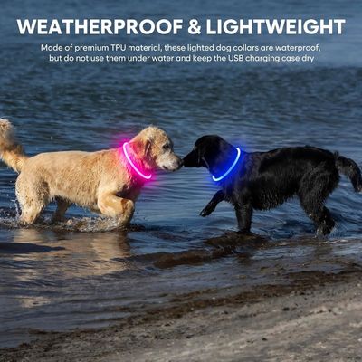 オーダーメイドロゴ付きのLEDグロウドッグカラー USB再充電式 防水 3つの点滅モード