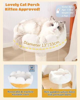 室内 ペットハウス 自然 シサル 掻き猫 木 暖かい ふわふわ 白い 雲 ベッド