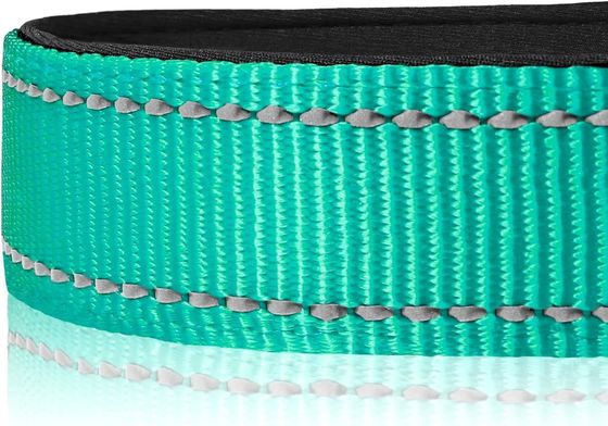 OEM/ODM サービス 提供 カスタム 防水 LED ペット ネックレス 反射 光犬