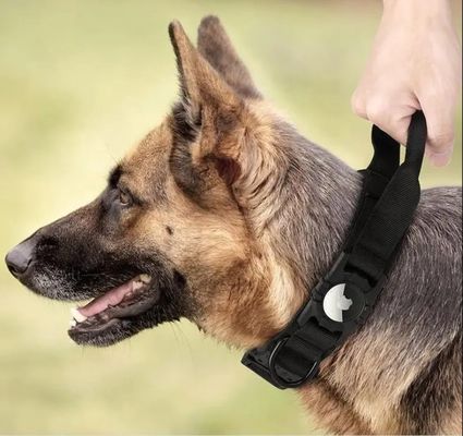 ナイロンの犬のトレーニングカラー ランニング ウォーキング ウォーキング エアタグ トラッカー 保護ケース 今