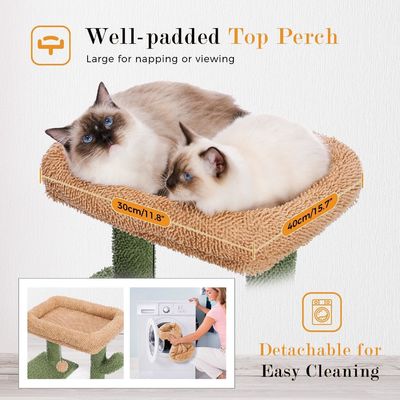 木製 モダンキャット シサル スクラッチャー カクタス ハンマックとスクラッシングポストの猫の木