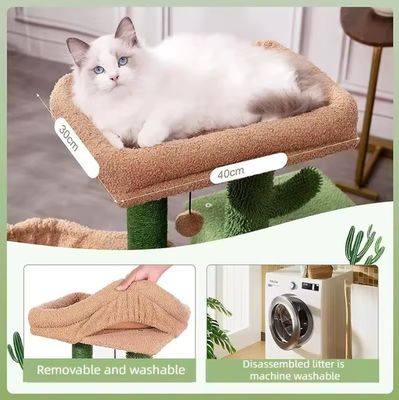 猫 掻き家 玩具 小型 緑色 猫 樹 カクタス 猫 室内 猫 の ため の 掻き 器