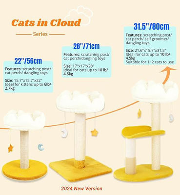 プルーシュ キュート 猫 木 白い 雲 猫 塔 小さな猫 と 動物