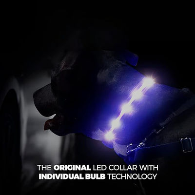 カスタマイズサービス 提供 防水USB 再充電可能なシリコン LED 犬の襟