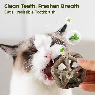 持続可能な天然のシルバーワインスティック インタラクティブな猫の噛むおもちゃ 楽しみと歯磨きのために