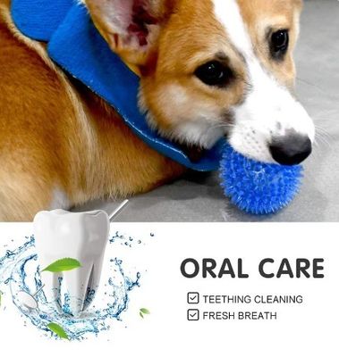 カスタマイズされたロゴ 受け入れられる ベストセラー TPR スキッキー スパイクボール 犬用犬用おもちゃ 犬とペット用