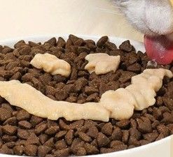 55% 肉分 猫 湿食 生命のあらゆる段階 サルモン 猫 トリートメント 棒 袋の中の食べ物