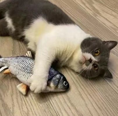 持続可能でインタラクティブな遊び時間のために Catnip Plush Electric Moving Fish Cat Toy