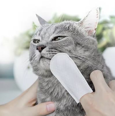 自然 の 香り の 指 袖 の 濡れ た 拭き 巾 で 便利 で 効果 的 な ペット の 口腔 清掃