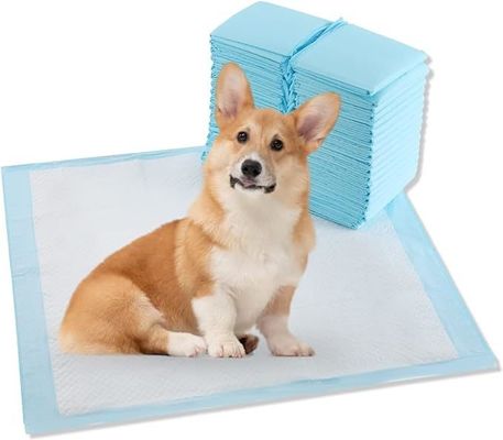 再利用可能な子犬訓練用パッド 毛布以外の 犬訓練用のパッドの下に使い捨て用パッド