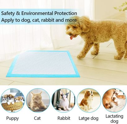 再利用可能な子犬訓練用パッド 毛布以外の 犬訓練用のパッドの下に使い捨て用パッド