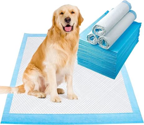耐久性のある素材でペッドの下のペイを訓練する使い捨て犬