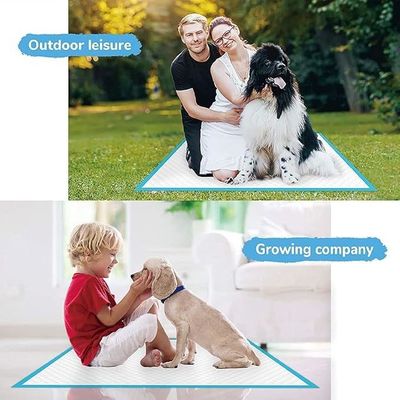 子犬の小便訓練 スーパー吸収性 排尿訓練用の使い捨て犬のトレーニングパッド