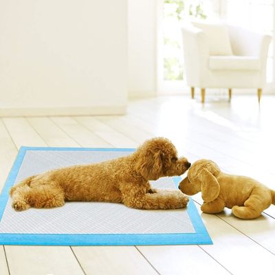 子犬の小便訓練 スーパー吸収性 排尿訓練用の使い捨て犬のトレーニングパッド