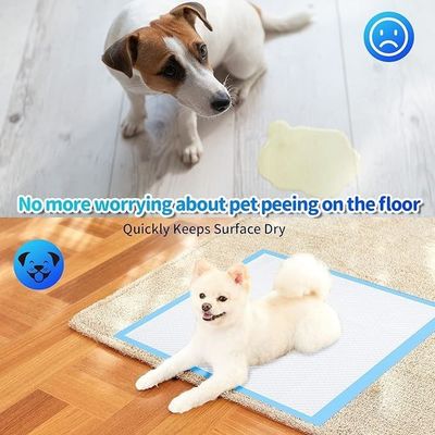 持続可能で漏れのないペットポット吸収剤のための犬訓練小便パッド