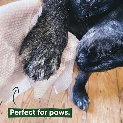 オーダーメイド ホワイト PET 整形用 拭きもの 自然 有機 清潔 浴用