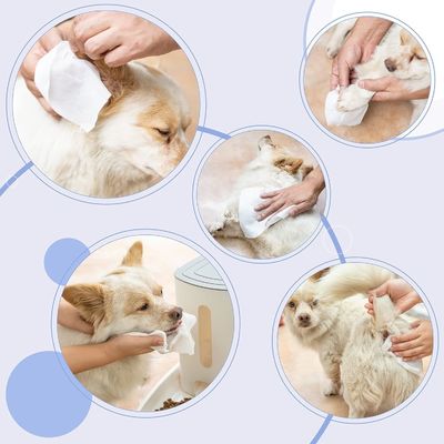 ペット ハイポアレルギー 猫 犬 ペット 日常 生活 パーソナライズ サービス