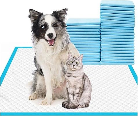 ワンピースや動物のための大型犬用ペットトレーニングパッド