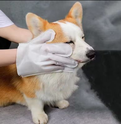 パーソナライズド ロゴ 受け入れられる 6PCS パック ペット 掃除 手袋 PET 整形 濡れたタオル