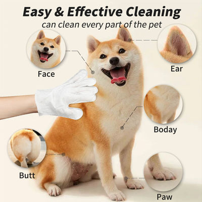 パーソナライズド ロゴ 受け入れられる 6PCS パック ペット 掃除 手袋 PET 整形 濡れたタオル