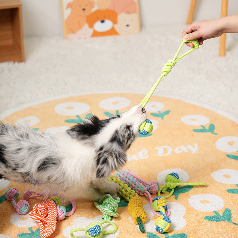 犬用玩具 7PC ペット用歯磨きとインタラクティブな楽しみのための編みついたロープ用玩具セット